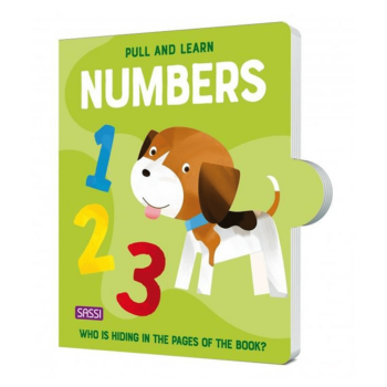 sassi-pull-and-learn-numbers
